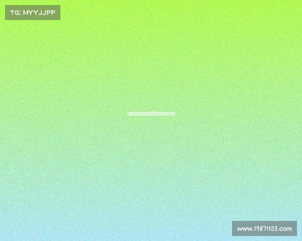 足球球员租借转会流程详解及注意事项解析