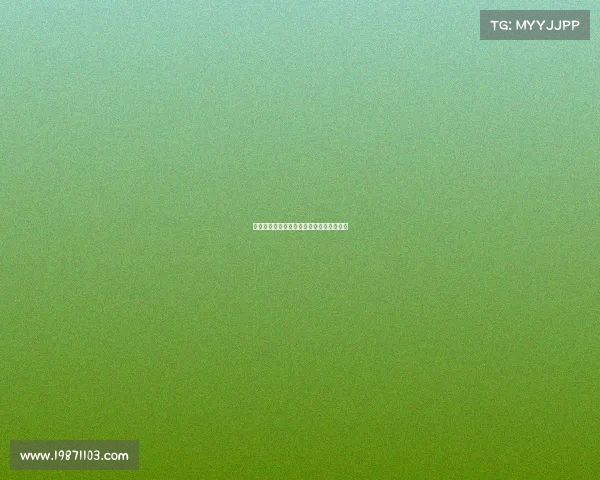 西甲球员伤停情况分析与各队应对策略探讨