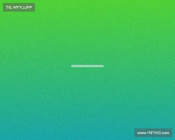 足球俱乐部引援资金管理模式创新与优化路径研究